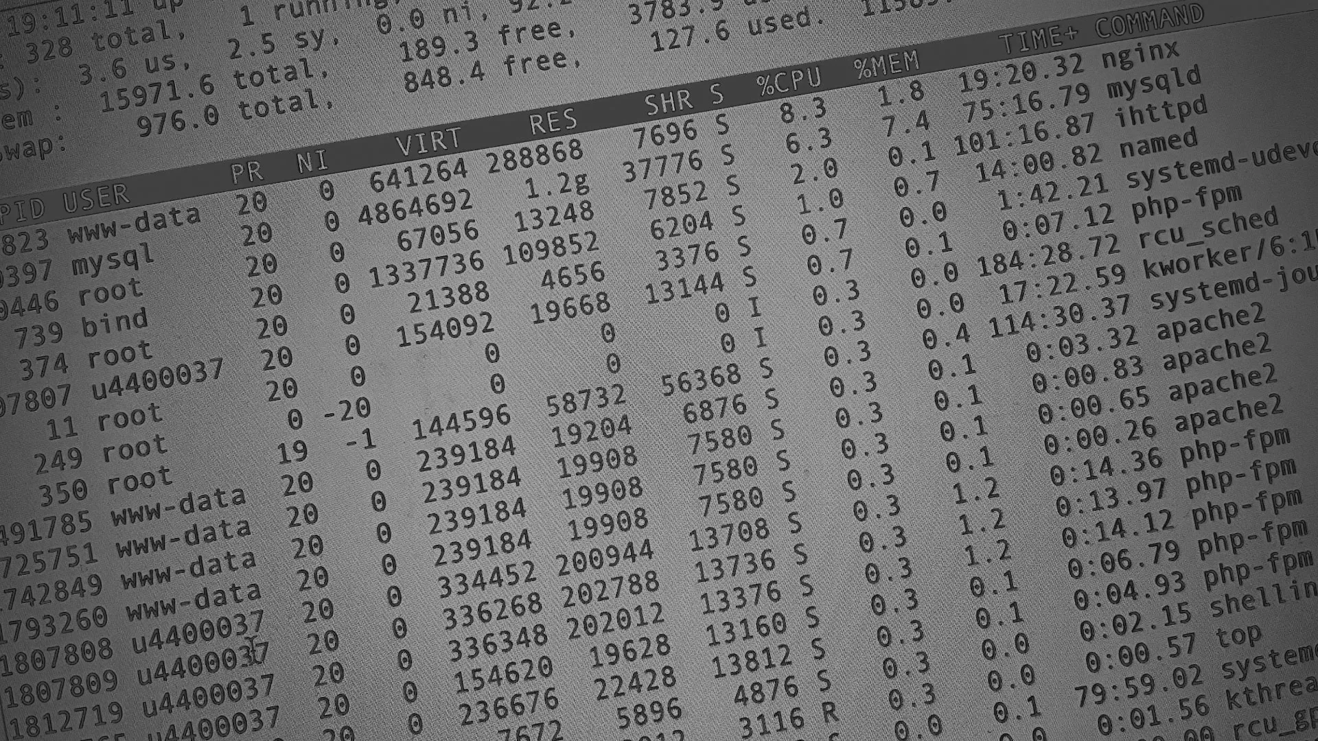 Настройка сервера в Чехове Настройка сервера в Чехове