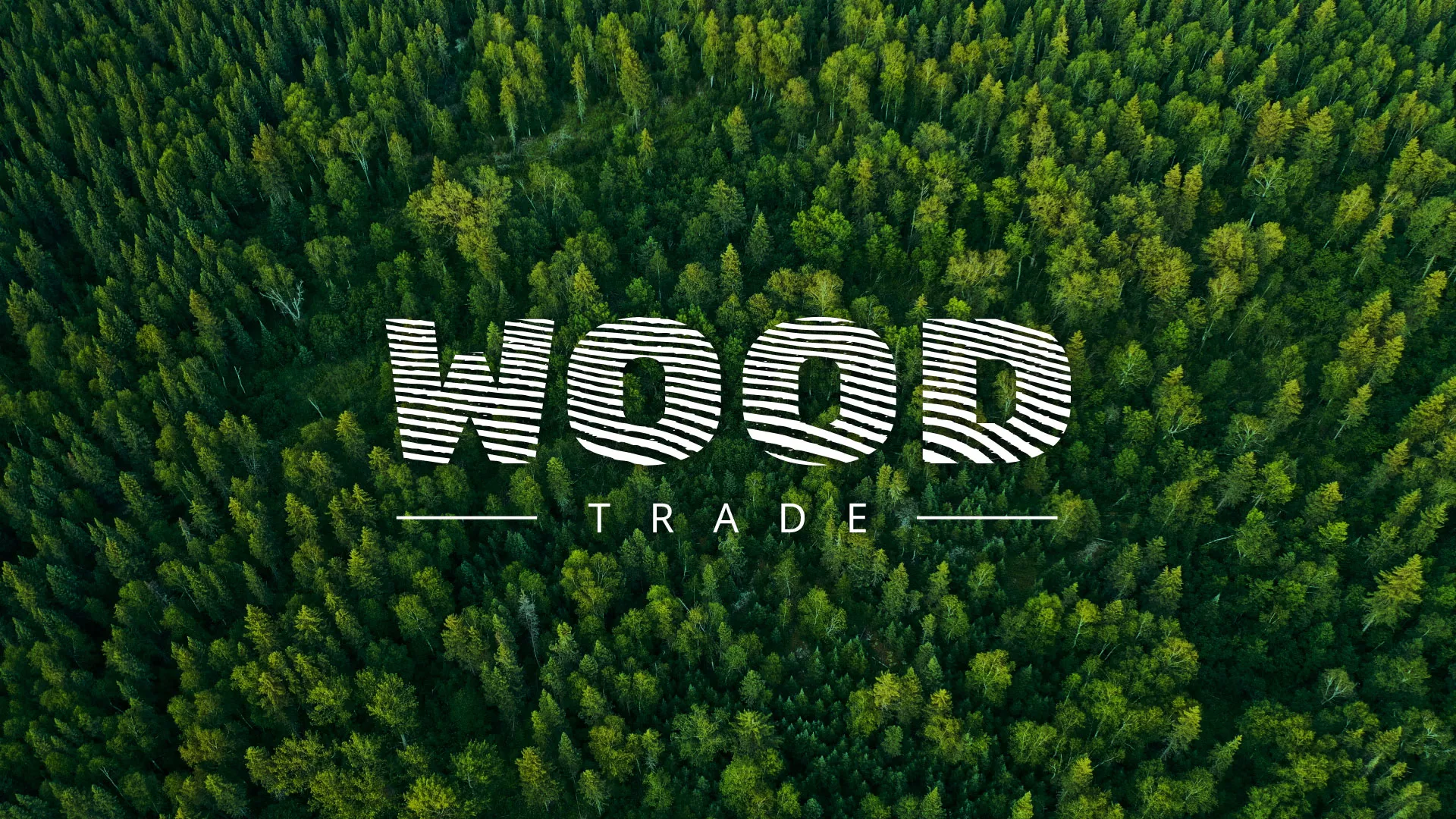 Разработка интернет-магазина компании «Wood Trade» в Чехове